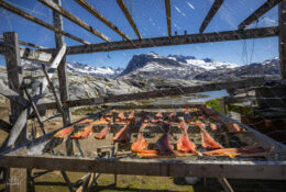 Greenland (21/58)